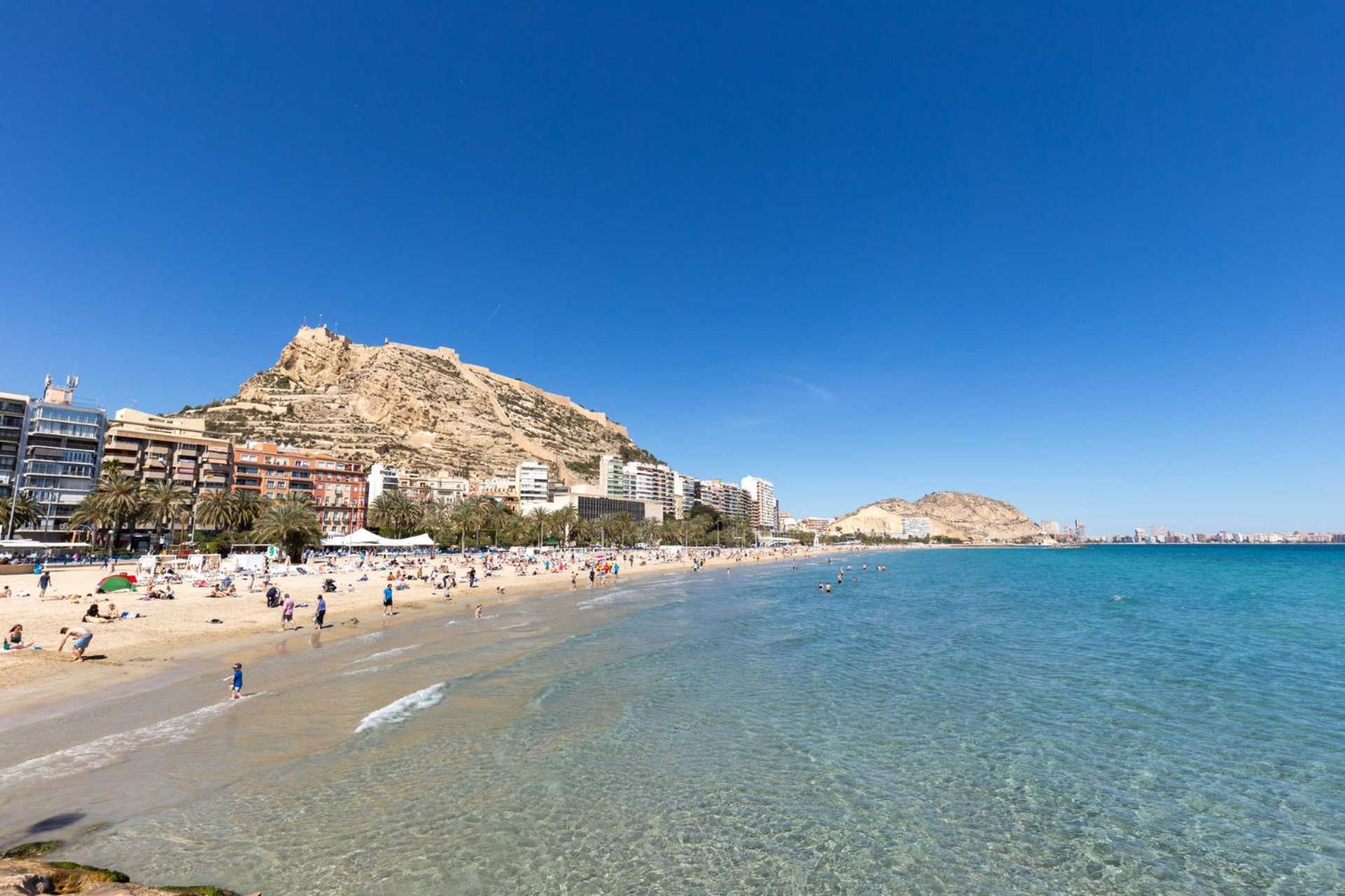 Paloma-Habitacion Del Piso Daire Alicante Dış mekan fotoğraf